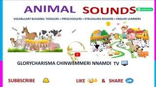 ANIMAL SOUNDS | ANIMAL SOUNDS FOR KIDS | DOMESTIC + FARM + WILD ANIMAL SOUNDS