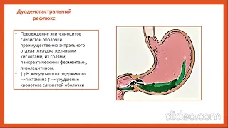 Хронический гастрит и рак желудка