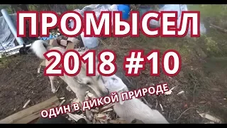 ПРОМЫСЕЛ 2018-19. #10 ПОЛГОДА В ДИКОЙ ТАЙГЕ. СТРОЮ ЖИЛИЩЕ. ДОБЫВАЮ РЫБУ И МЯСО. НАБЛЮДАЙ!