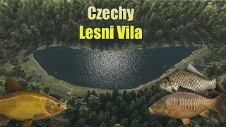 Fishing Planet #4 Łowisko Lesni Villa Czechy Gdzie łowić poradnik