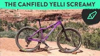 Canfield Yelli Screamy - A Modern Remake of an Old Classic - The 2022 Yelli Screamy