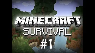 DEVASA BİYOMLAR ve BAŞLANGIÇ KAMPI - Minecraft Survival 1.19 Bölüm 1