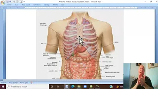 Anatomy CVS  Module  2022 in Arabic  1  ( Heart , part 1) ,  by Dr, Wahdan