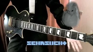 Rammstein - [Sehnsucht] - guitar cover by Marteec