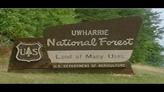 Ewharrie National Forrest North Carolina Possible Bigfoot Signs- Alabama Bigfoot Society Adventures