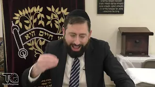 Afikoman: The Incredible "T'nai" of the Avnei Nezer & the Objection of Rav Moshe Feinstein {Pesach}