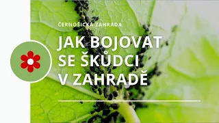 Jak bojovat se škůdci v zahradě