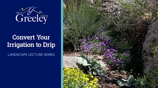 Convert Your Irrigation to Drip