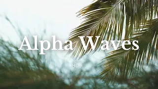 Alpha Wave Study Music - 20 minutes Focus & Memory - Zen Meditation