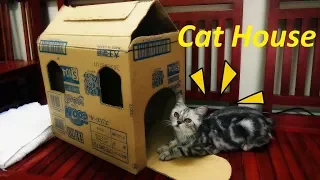 Transform a Simple Box into a Cat House | DIY Making of Pet House  | Meo Cover Home