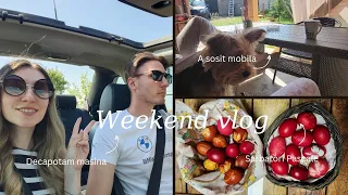 Vlog: A ajuns mobila | Imi incerc norocul la Loz in plic  | Sarbatori in familie