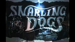 Snarling Dogs live at the courts 4/12/23