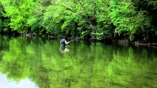 Pêche à la truite dans le Jura