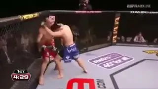 Brian Stan vs Wanderlei Silva UFC Japan 2013