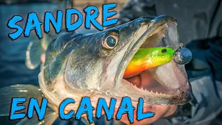 Pêche du sandre aux leurres en canal | Hiver 2019