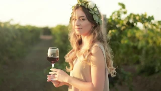 PAVA. Ukrainian wine