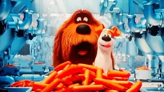 The Secret Life Of Pets We Go Together Scene