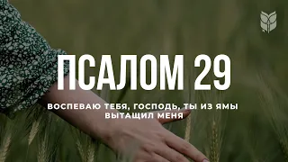 Псалом 29. Современный перевод Библии #biblevision