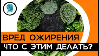 Вред ожирения (лишнего веса) и что с этим делать? ДиетоЛогика Андрея Воронина