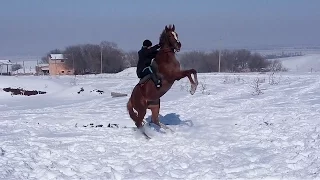 Космос между нами 2017