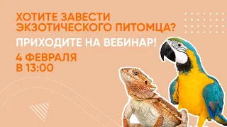 Экзотические животные: кого завести дома? Вебинар Школы «Хвост Ньюс»