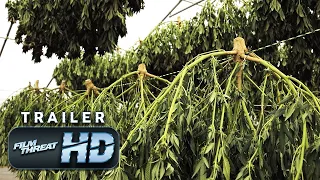 AMERICAN HEMP | Official HD Trailer (2019) | DOCUMENTARY | Film Threat Trailers