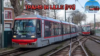 Trams in Lille 🇫🇷 | Breda VLC (2023)🚋