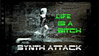 Life is a Bitch - Synth Attack (fan video) - Dobby Smile & Mary