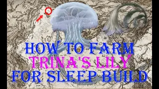 Best way to farm Trina's Lily for all your sleep build needs