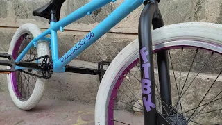 Abandoned FitBikeCo BMX Bike Restoration.