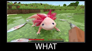 Minecraft wait what meme part 151 realistic minecraft axolotl