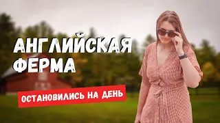 ОСТАНОВИЛИСЬ НА ФЕРМЕ В АНГЛИИ | КОРНУОЛЛ | АНГЛИЙСКАЯ ПРОВИНЦИЯ