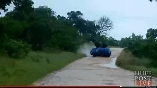 Raging Elephant Flips Over Car In National Park