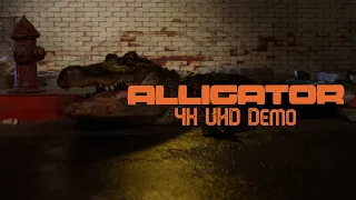 Alligator - 4K UHD Demo | High-Def Digest