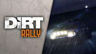 You made this! - DiRT Rally Community Trailer