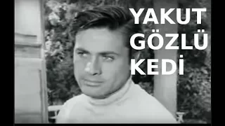 Yakut Gözlü Kedi - Eski Türk Filmi Tek Parça