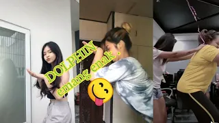 Tetap goyang!! TIKTOK DOLPHIN DANCE-REMIX