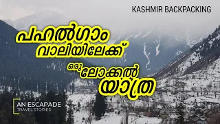 പഹൽഗാമിലേക്ക് ലോക്കൽ യാത്ര | Pahalgam Share Taxi | EP 10 | Malayalam travel vlog 43