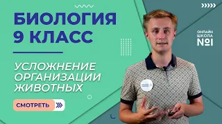 Усложнение организации животных. Видеоурок 21. Биология 9 класс