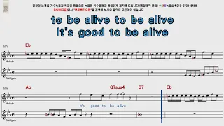 Patrick Hernandez   Born to Be Alive POP Song Score Karaoke