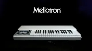 Mellotron M4000D-Mini, White | Gear4music demo