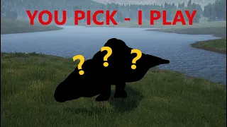 YOU choose what I play