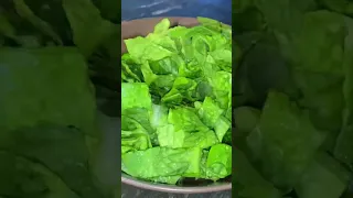 Green Salad 🥗 #salad #garden #shorts