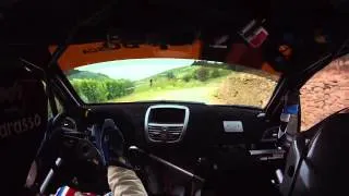 CameraCar Moscato Rally 2012 Marasso - Canuto Peugeot 207 S2000 1° Assoluti