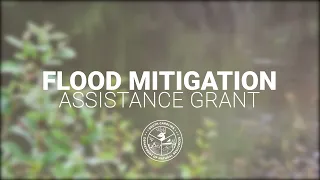 Flood Mitigation Assistance Grant