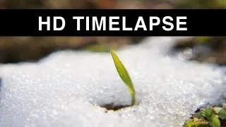 Time lapse of Snow melting [HD]