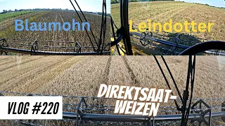 Vlog #220 Wieder Zuhause! Wie performt der Direktsaat-Weizen? Mohn und Leindotter wird gedroschen.