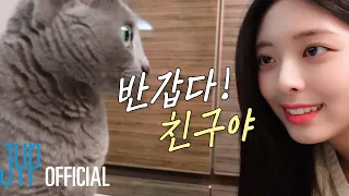 [ITZY VLOG] YUNA's Holiday