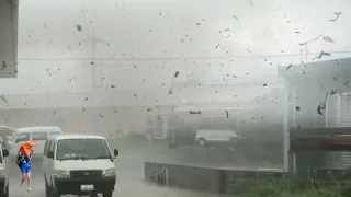 Typhoon Hinnamnor strikes Japan! Heavy rain and strong winds in Okinawa