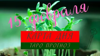 Карта дня🍀15 февраля 2022❓Таро прогноз💯